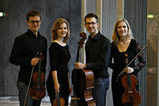 bildArtist photo of Gémeaux Quartett - string quartet