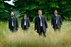 Quartetto di Cremona Artist photo of Quartetto di Cremona