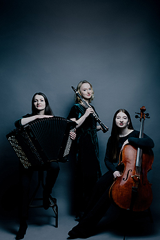 Artist photo of Trio Klangspektrum