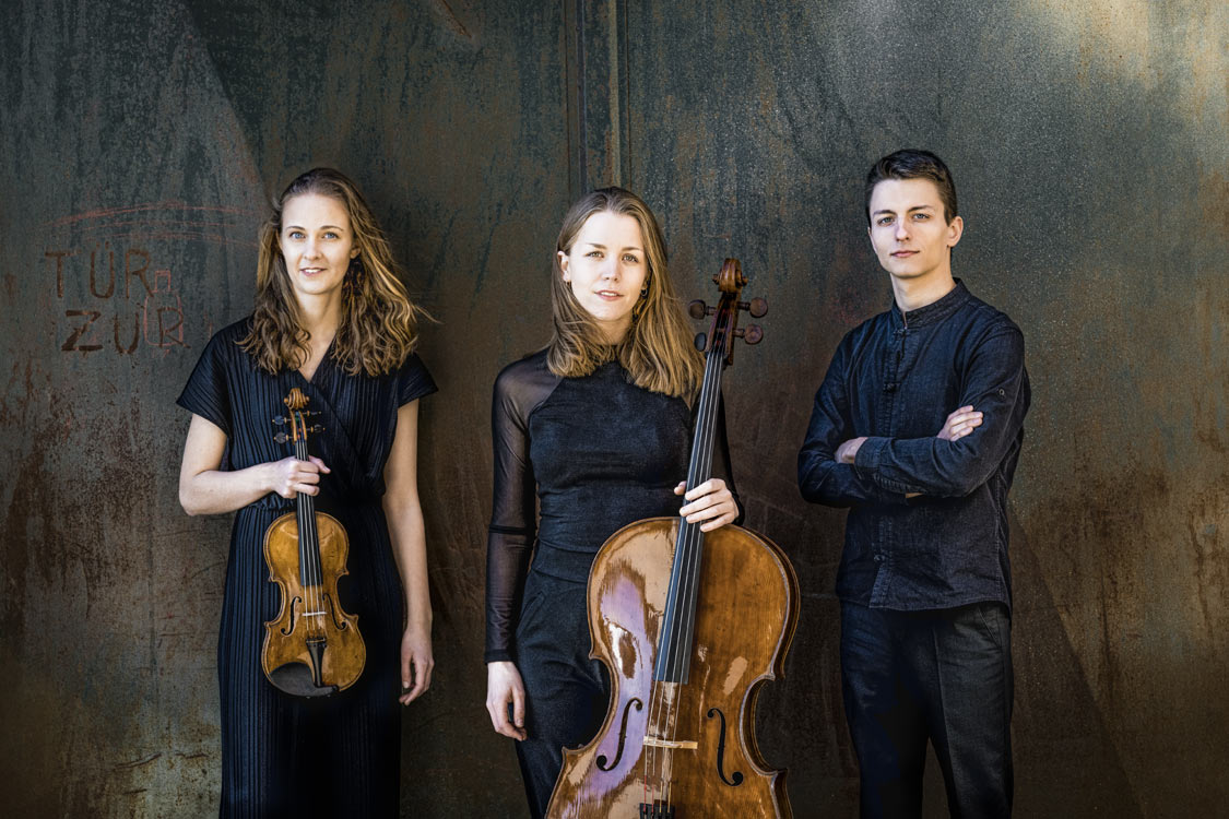 Artist photo of Amelio Trio - Piano trio
