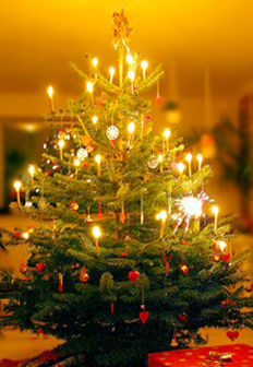GENUIN wishes a Merry Christmas and a Happy New Year.